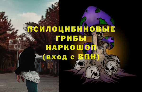 гидропоника Няндома