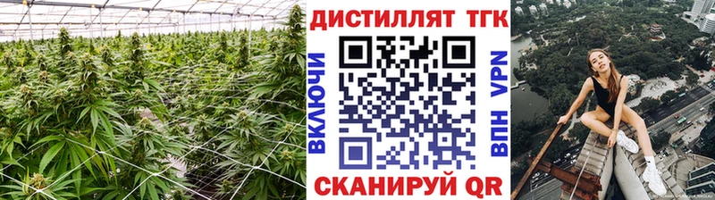 продажа наркотиков  Королёв  кракен как зайти  ТГК концентрат 