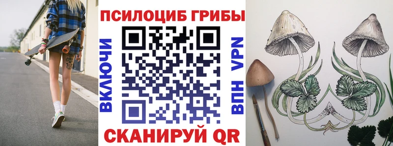 гидра tor  Королёв  Псилоцибиновые грибы Cubensis 
